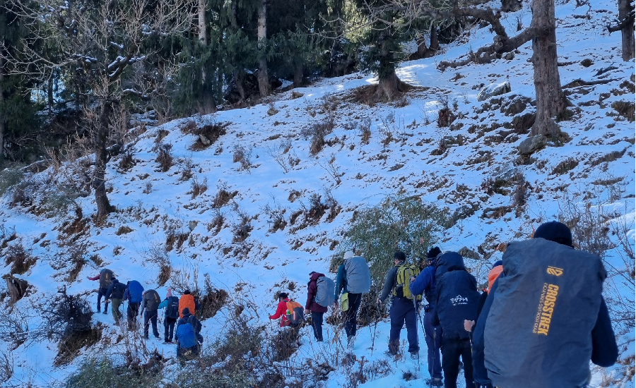 breathtaking snow-covered trail