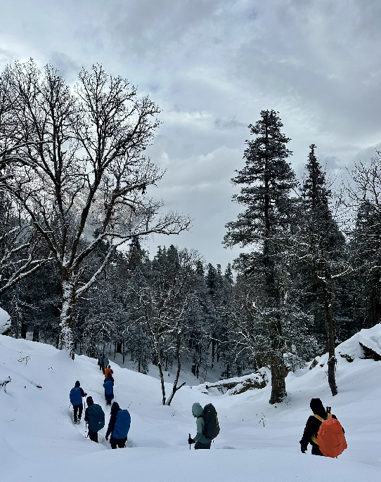 Walking under a snowfall, surrounded by untouched white beauty
