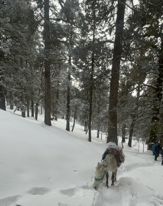 Crossing the frozen waterfall on our descent