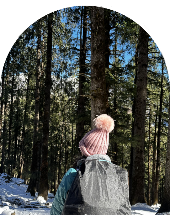 trekkers making their way through the forest