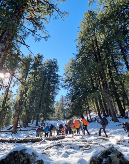 scenic snow trail ahead