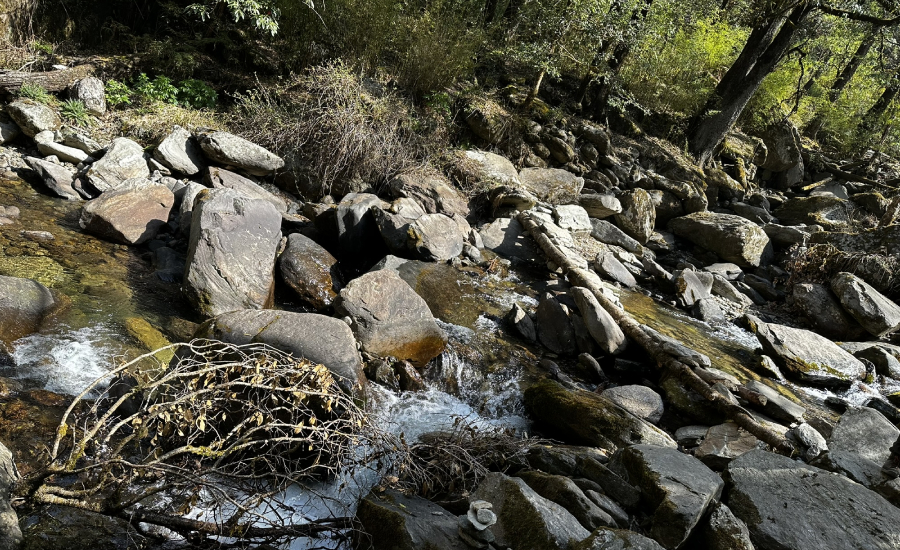 Akashkamini River – Flowing Between the Forest