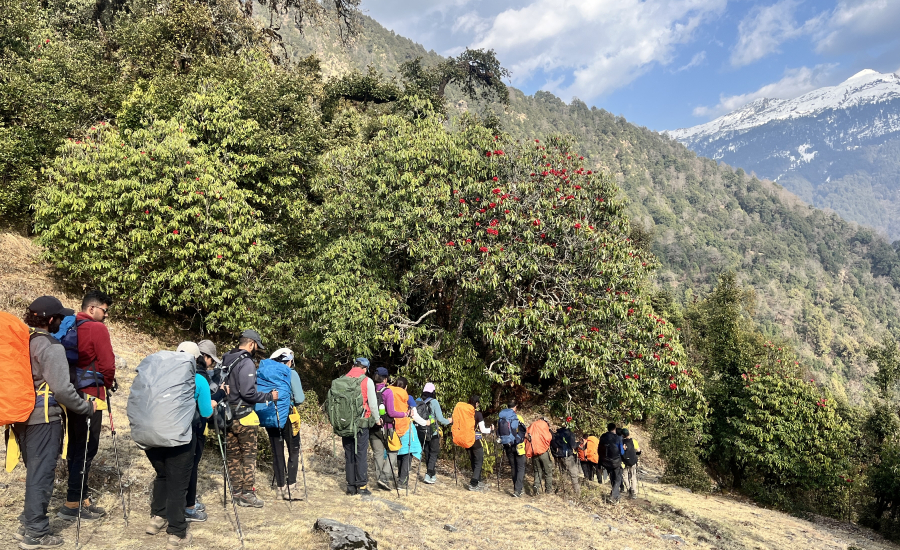 Group of Fellow Trekkers Walking Together