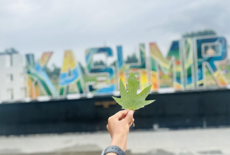 Kashmir
