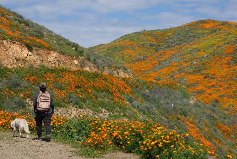 The Magic of Solo Travel
