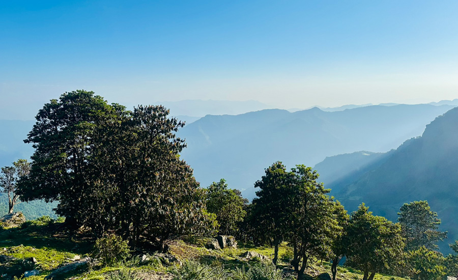 Endless green slopes of Lyuti Bugyal on the Rudranath trail—Himalayan meadows kissed by clouds and silence