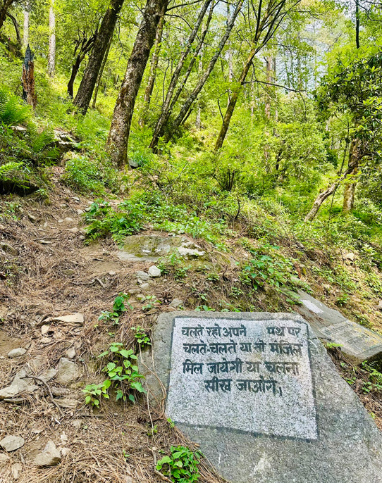A quiet moment on the Madhyamaheshwar trail—where every step feels like a prayer and every breath a blessing