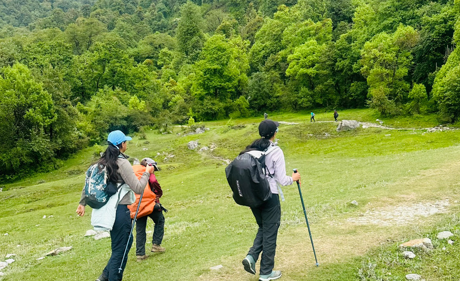 Walking through lush Himalayan meadows—each step wrapped in silence, wildflowers, and mountain breeze