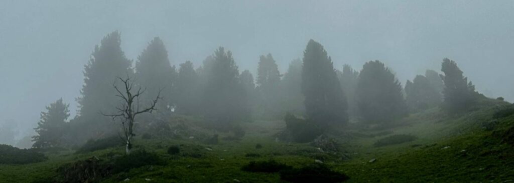 Trekker walking through misty trail in Kashmir during heavy monsoon rain near Jhopdi campsite