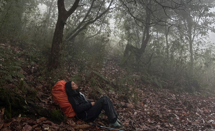 Peaceful moment inside Himalayan forest during Sandakphu Trek