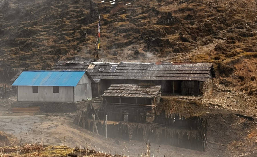 Traditional Himalayan House