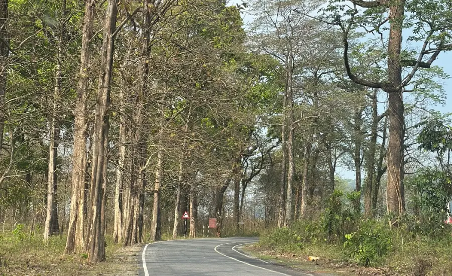 Starting the road journey from Siliguri for Sandakphu Trek