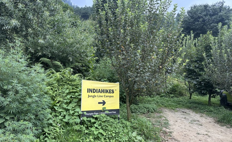 Indiahikes Jungle Line Basecamp