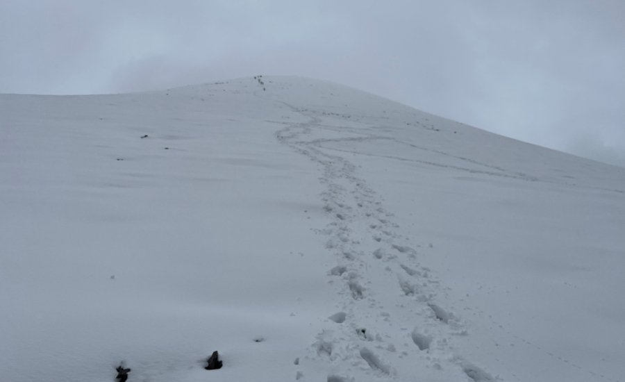 Descending below the snow line on Kanamo Peak